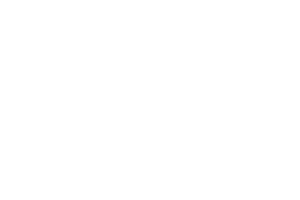 Evolve Skateboards